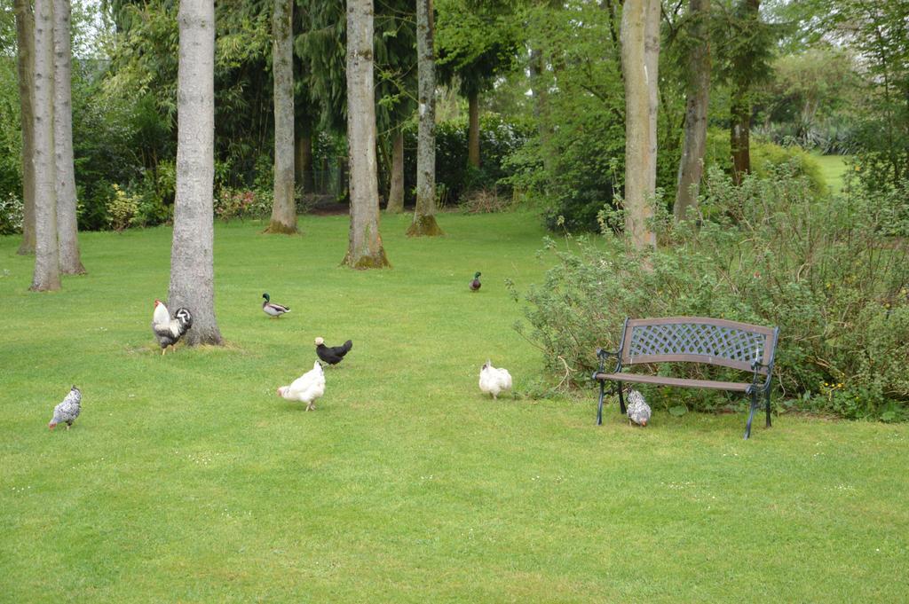 La Grange Des Marettes Bed & Breakfast Cléres Dış mekan fotoğraf