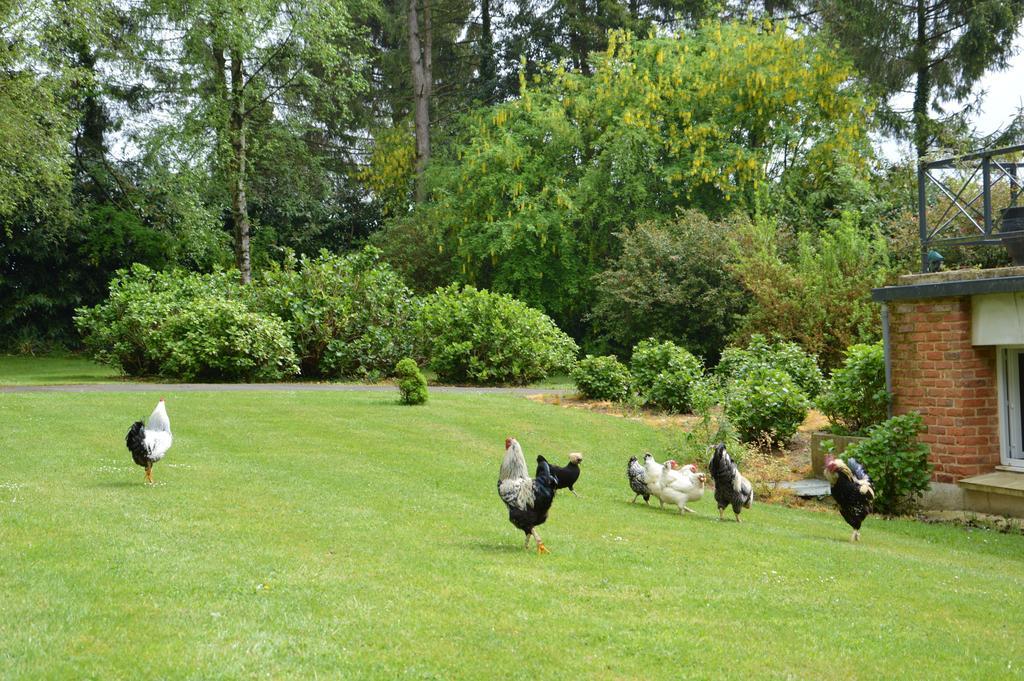 La Grange Des Marettes Bed & Breakfast Cléres Dış mekan fotoğraf